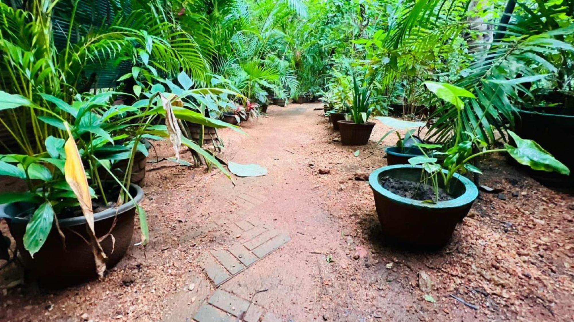 Sigiri Kp Family Home Sigiriya Exterior photo
